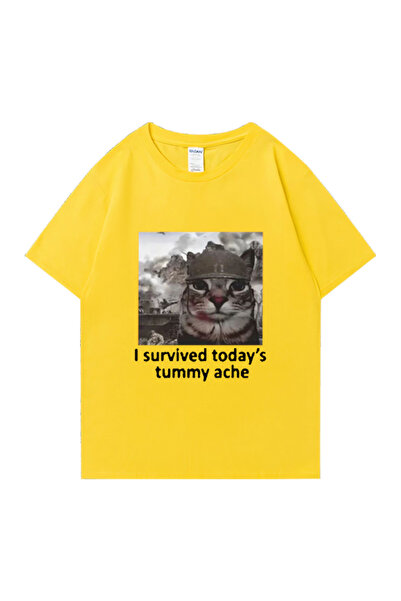 Drippy Muški Pamuk paket T-shirt - Smešno mačka, Preživeo sam bol u stomaku p...