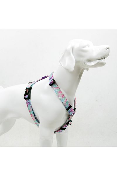 Tailpetz Bubbles H-Type Chest Neck Collar and Ship Strap Set 3 in 1