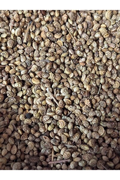 YEMCİM Korunga Tohumu 1000g