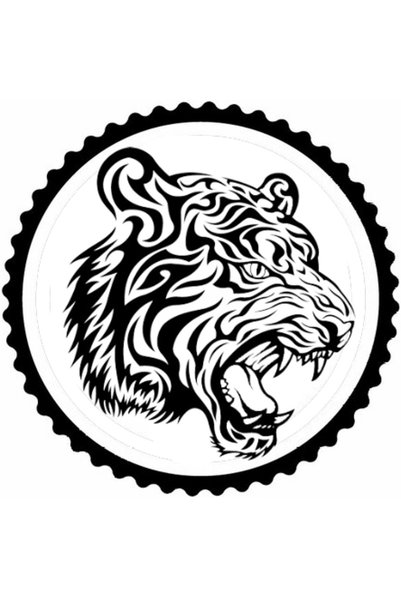 Generic Brand Tiger Design 5Th Model Sticker 20 X 20 cm