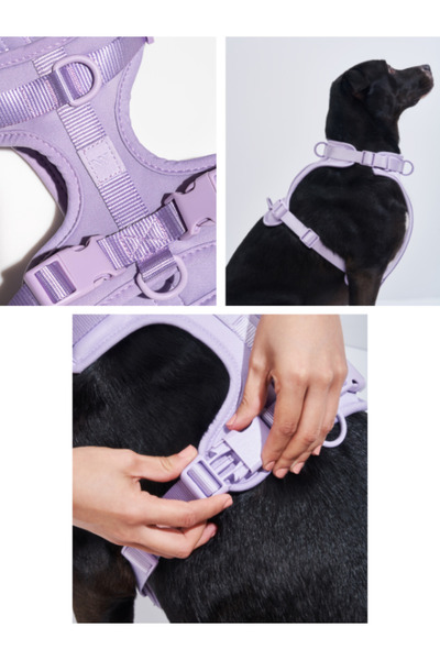 PAKEWAY Çok Fonksiyonlu 4 Parça Köpek Tasması Gezdirme Seti Su Geçirmez Rulo Dışkı Poşeti Hediyelidir