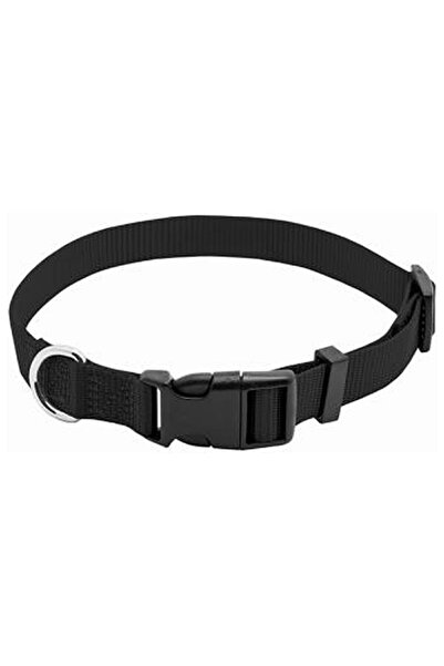 westminster طوق الكلب PE 1x26 BLK