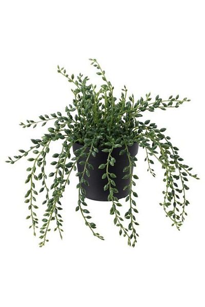 IKEA Τεχνητό Πράσινο Φυτό Λουλούδι 9 cm
