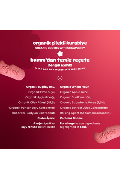Humm Organic Organik Vegan Çilekli Kurabiye Atıştırmalık Paketi - 12 Adet