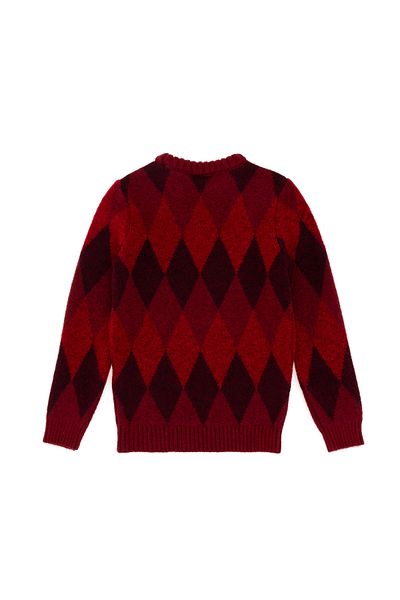 U.S. Polo Assn. Boy's Cherry Sweater 50293014 -Vr223
