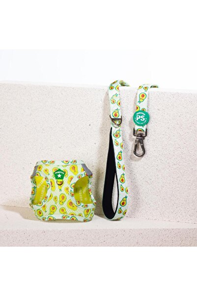 Pawstar Avocado Leash & Air-Mesh Kedi Köpek Tasma ve Gezdirme Kayışı Seti Tasma Seti