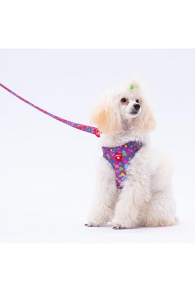 Pawstar Air-Mesh Cat Dog Leash and Walking Strap Set - Hearts Leash