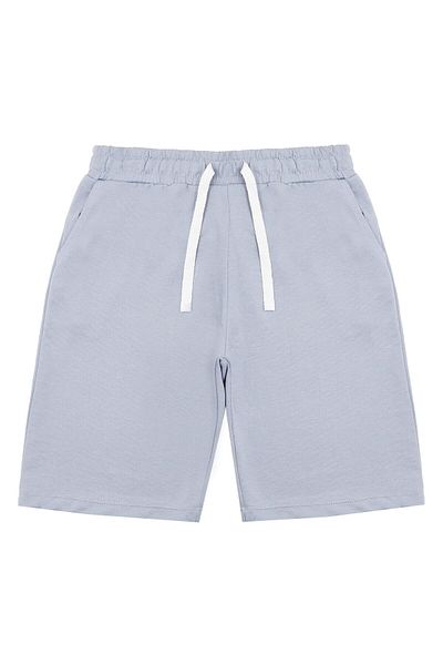 Chandraswear Boy's Gray Aspen Shorts and T-Shirt Set