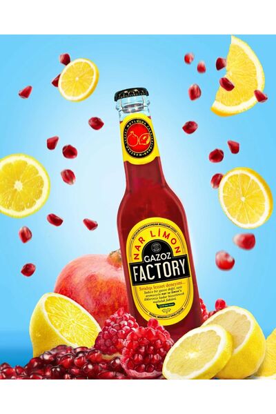 Factory Gazoz Nar Limon 250ml