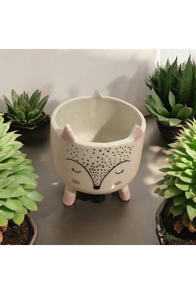 HomeSipahi Handmade Food and Storage Container with Animal Figures
