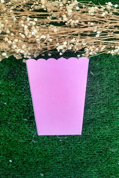 Emtory Home 8-Piece Pink Corn Box - Popcorn Box - Birthday Treat Gift - Medium Size