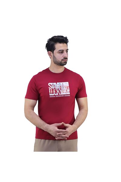 Giordano Men's Cotton Jersey Print Tee (AI TEE)