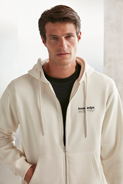 GRIMELANGE Чоловічий світшот Aksel з м'якої органічної бавовни з принтом на блискавці з капюшоном великого розміру в кам'яному кольорі