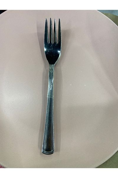 TURBO 12 Pcs of Food Fork