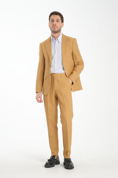 Frappoli Slim Fit Men's Plain Pointed Neck Double Slit Lined Suit