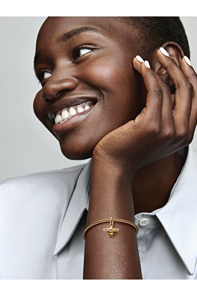 Pandora Işıltılı Arı Sallantılı Charm