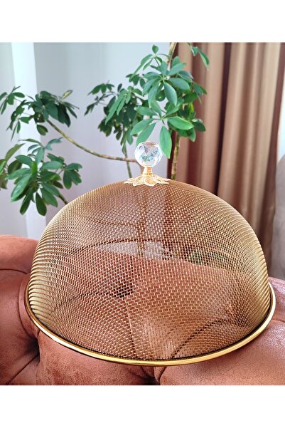 EBRULİEMAYE فانوس سلكي شبكي من الفولاذ باللون الذهبي الفاخر مقاس 30 سم مع غطا...