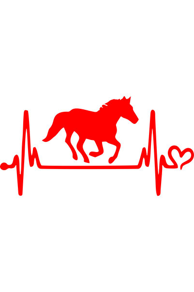 Birim Matbaa Atfigürü3 Pulse Auto Sticker(39X18 cm)