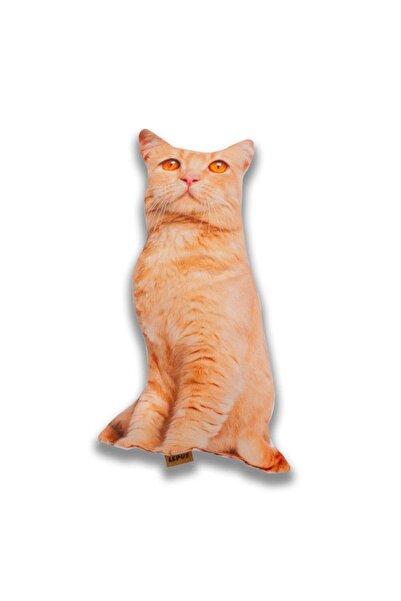 Lepus 3 Boyutlu Kedi Yastığı No 8 40x25 Cm