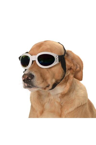 Petza نظارة شمسية روينا بيضاء متوسطة وكبيرة للكلاب