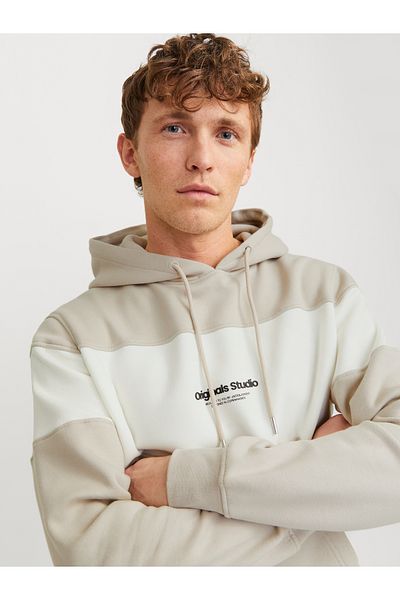 Jack & Jones JORVESTERBRO BLOCK SWEAT HOOD STYD AW24
