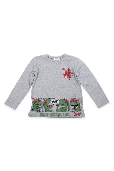 Breeze Boy's Dinosaur Printed Tshirt 20811