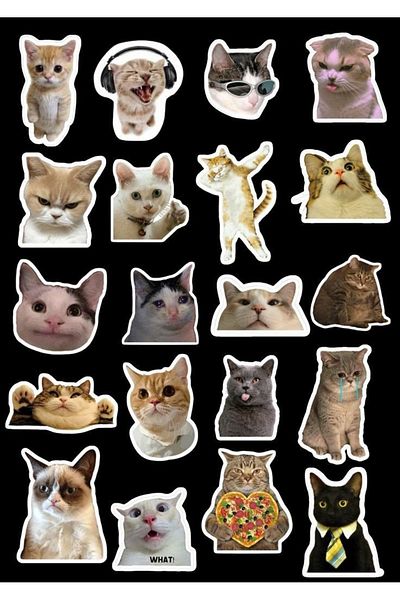 Sticksy Cats Stickerphone Laptop Notebook Tablet Notebook Flask Sticker Sticker St946