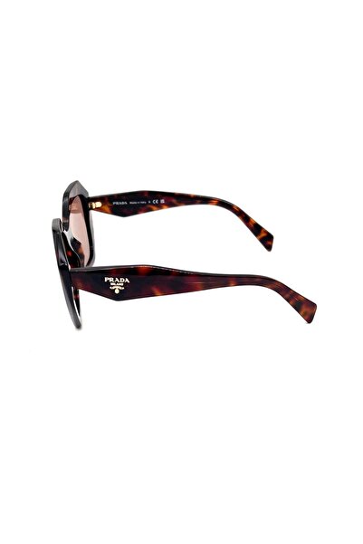 Prada Woman Irregular Sunglasses- Pr 16ws - Lense Size:53mm - Root Tortoise