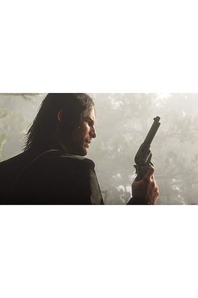 RockStar Games Red Dead Redemption 2 PS4