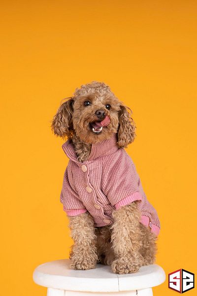 salya store Dog Apparel - Rose Aerobin Velvet Dog Coat