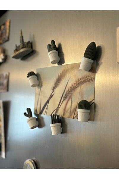 Thera Bottega Mini Kaktüs Buzdolabı Magneti Seti (6'LI) - Beyaz