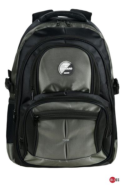 Bliss Γκρι Unisex Σχολικό Σακίδιο Ορθοπεδικής Πλάτης με θήκη φορητού υπολογιστή