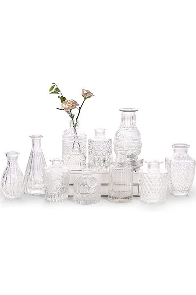 Home Zone Set of 10 Glass Bud Vases Small Vases for Centrepieces