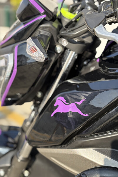 Banxtre مجموعة ملصقات ملصقات TVS متوافقة مع TVS Raider باللون الأرجواني (اليم...