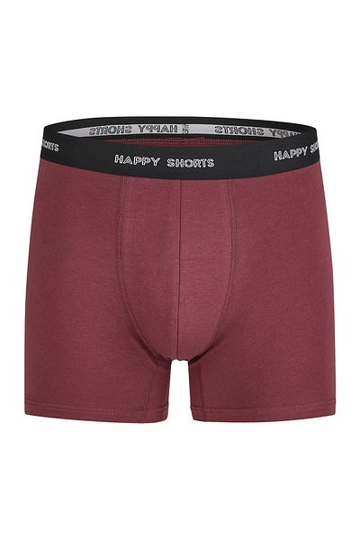 Happy Shorts Retro Pants Jersey Retro-boxer Retro-shorts Unterhose
