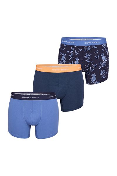 Happy Shorts Retro-Hosen-Motiv