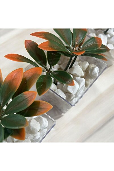 Lilac Home Özel Tasarım Dıy 3`lü Set Kübik Saksıda Dekoratif Taş Detaylı Turuncu-yeşil Japon Çiçeği