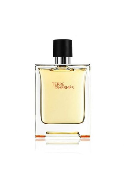 Hermes عطر هيرمس تيري دي هيرمس او دو تواليت 100مل