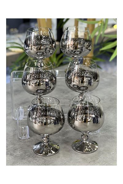 Doğudeko Czechoslavia Crystal 6-Piece Titanium Silver Coffee Glass