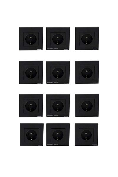 Netelsan Byobu Black Grounded Socket Framed 12 Pieces
