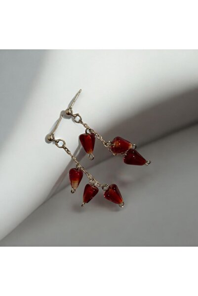 Home Cam Nar Tanesi Küpe