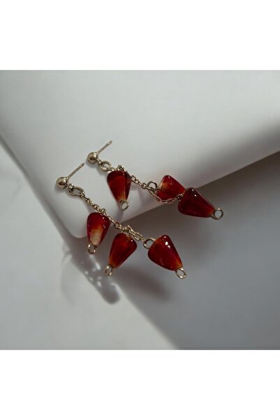 Home Cam Nar Tanesi Küpe