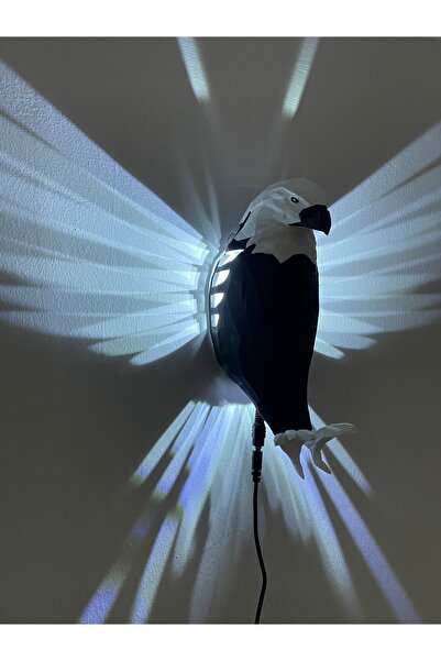 HF DESIGNER KARTAL GECE LAMBASI SİYAH BEYAZ LEDLİ (VİDEOLU ÜRÜN)