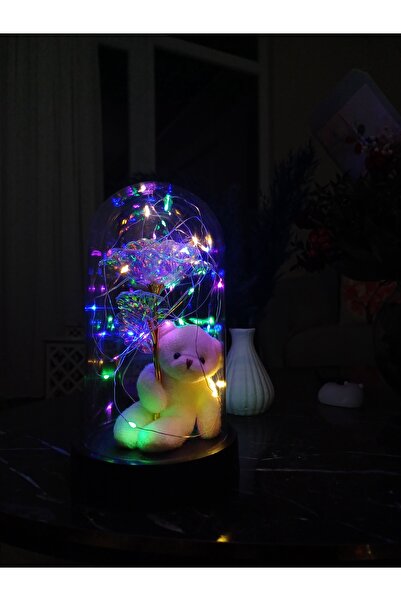 LUZAB Anneler Günü Sevgiliye Hediye Ayıcık Ledli Fanus Sonsuzluk Gülü Hediyesi