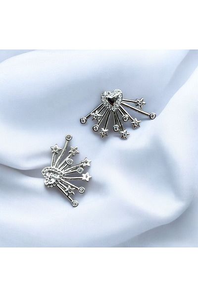 Nilsu Jewellery Accessory Zircon Stone Heart and Star Detailed Nail Earrings