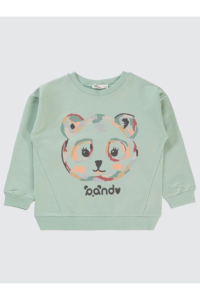 Civil Girls 2-5 Years Old Girl's Sweatshirt - Fresh mint Design
