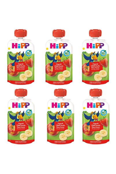 Hipp Organik Çilekli Muzlu Elmalı Meyve Püresi 100 gr 6 Adet