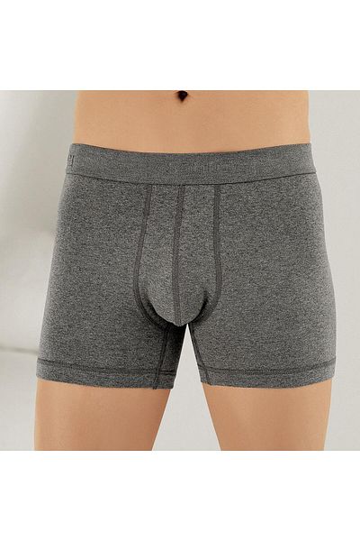Şahinler Şahinler E031 Ανδρικά σλιπ μπόξερ Lycra 6 Πακέτο Σκούρο Γκρι L