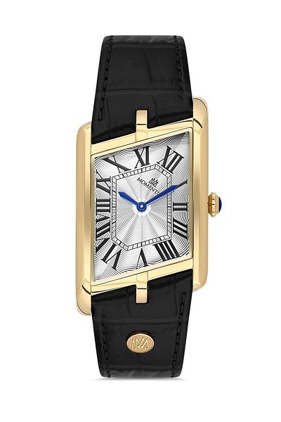 Momentus Cm365G-02Bg Men's Watch