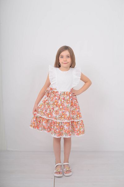 Filizdens Kids Girls' Dress Flares Printed Brode Dress Casual Birthday Special Occasion Dress